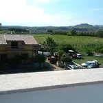 Oleandro