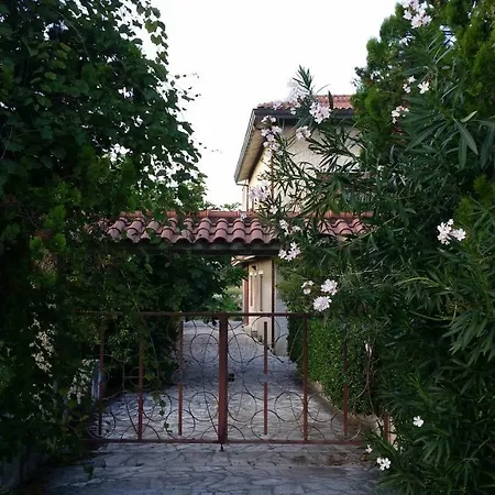 Apartment Oleandro