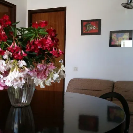 Apartment Oleandro Alba Adriatica