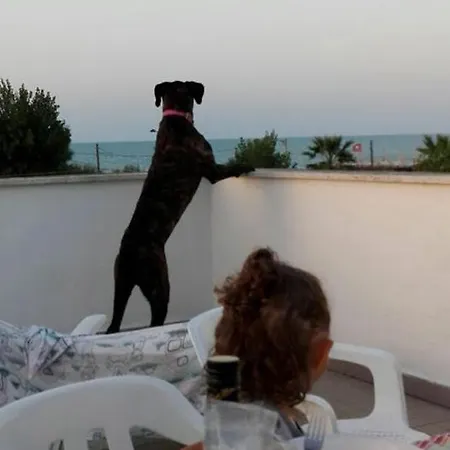 Apartment Oleandro Alba Adriatica